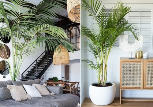 The Ultimate 16x25x5 Air Filter and Air Purifier Combo for Cleaner, Healthier Homes